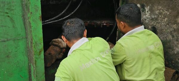 Maxiton waste management repair team